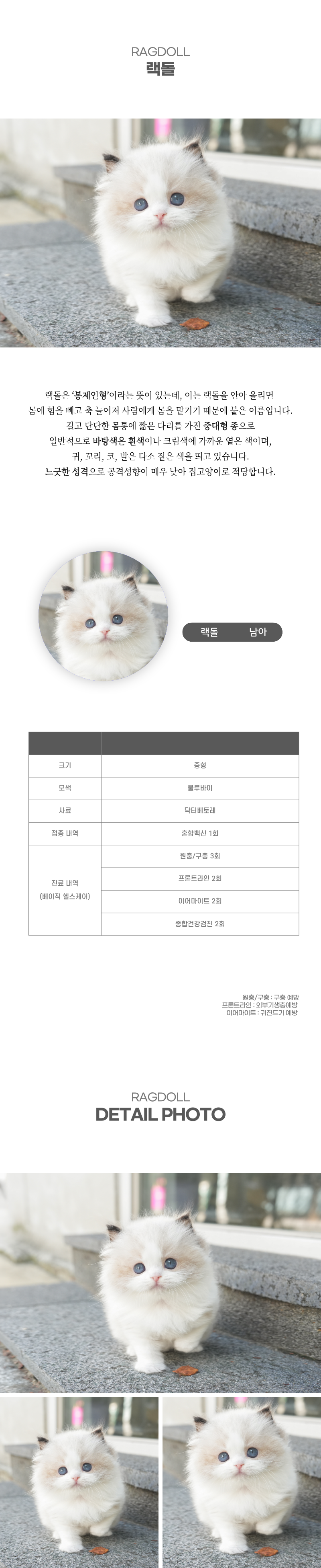 랙돌_상세이미지_2